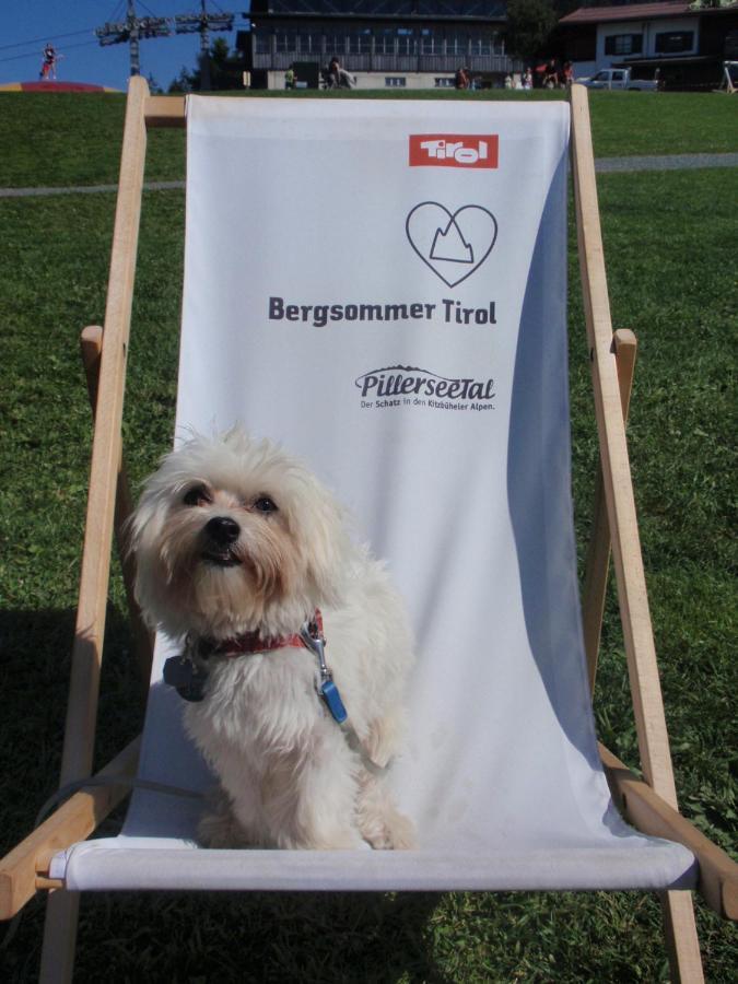 Ferienwohnungen Anita ฟีบาบรุนน์ ภายนอก รูปภาพ